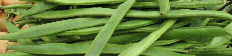 Green Kidney beans